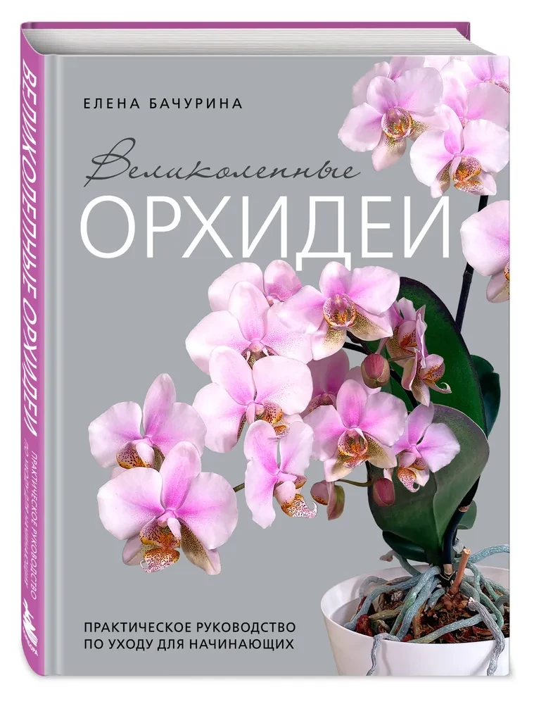 Великолепные орхидеи. Практичное руководство по уходу для начинающих